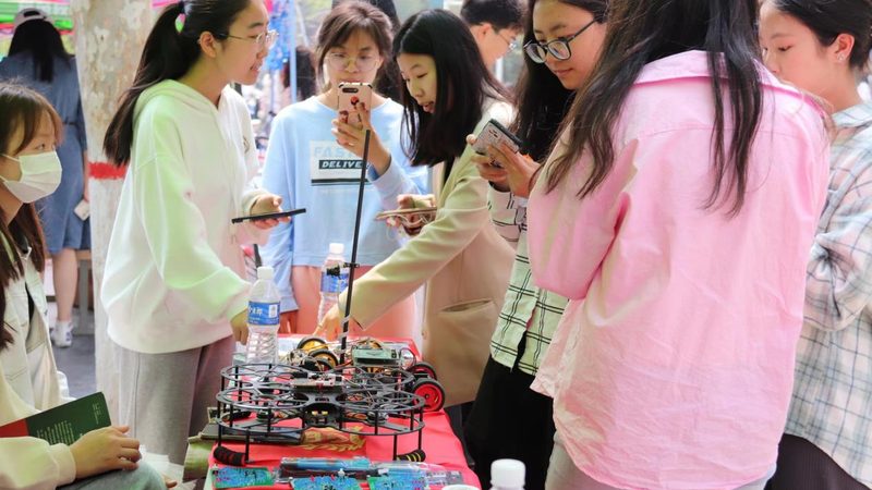 实战指南：人工智能应用如何落地？**